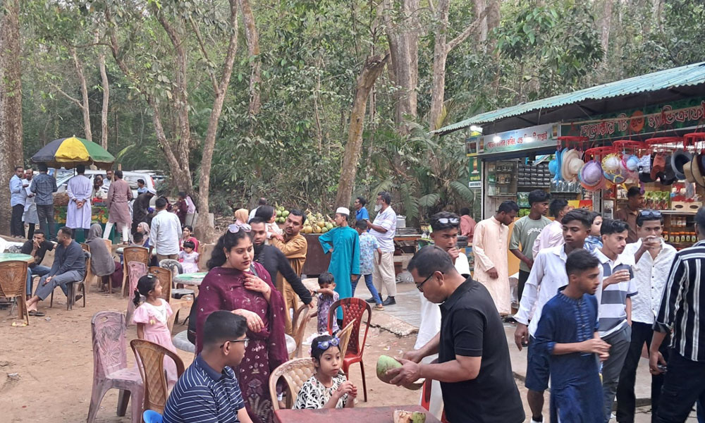 প্রধান উপদেষ্টা পদত্যাগ করবেন না: ফাইজ তাইয়েব আহমেদ