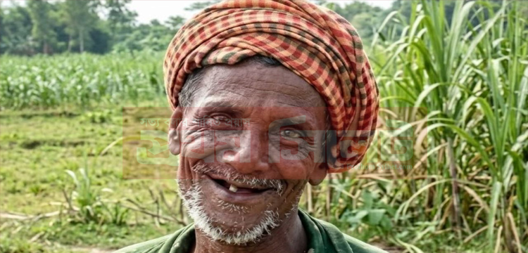 প্রধান উপদেষ্টা পদত্যাগ করবেন না: ফাইজ তাইয়েব আহমেদ