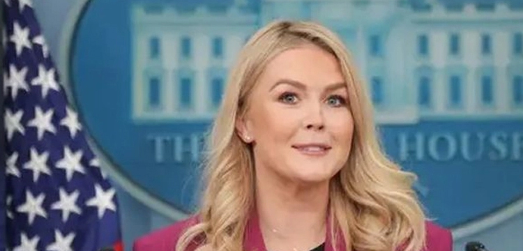 প্রধান উপদেষ্টা পদত্যাগ করবেন না: ফাইজ তাইয়েব আহমেদ