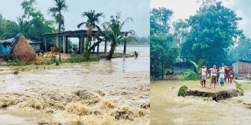 প্রধান উপদেষ্টা পদত্যাগ করবেন না: ফাইজ তাইয়েব আহমেদ