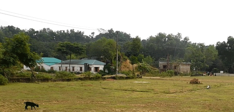 প্রধান উপদেষ্টা পদত্যাগ করবেন না: ফাইজ তাইয়েব আহমেদ