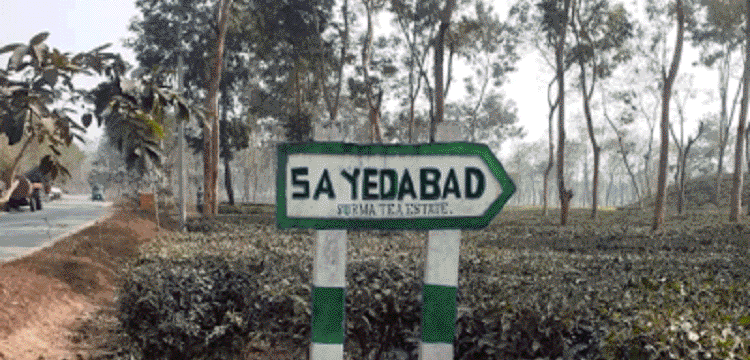 প্রধান উপদেষ্টা পদত্যাগ করবেন না: ফাইজ তাইয়েব আহমেদ