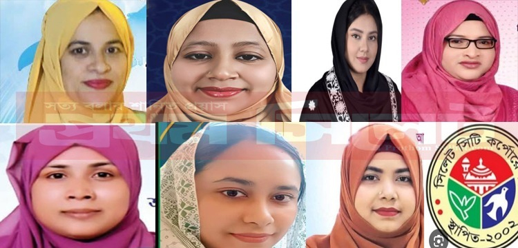 প্রধান উপদেষ্টা পদত্যাগ করবেন না: ফাইজ তাইয়েব আহমেদ