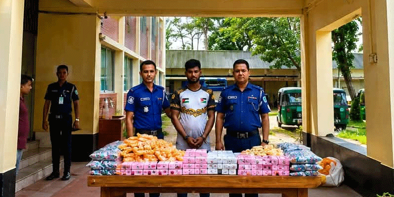 প্রধান উপদেষ্টা পদত্যাগ করবেন না: ফাইজ তাইয়েব আহমেদ