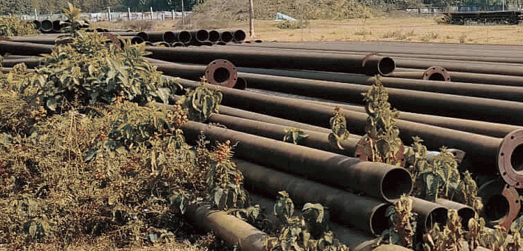 প্রধান উপদেষ্টা পদত্যাগ করবেন না: ফাইজ তাইয়েব আহমেদ