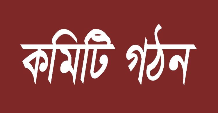 প্রধান উপদেষ্টা পদত্যাগ করবেন না: ফাইজ তাইয়েব আহমেদ