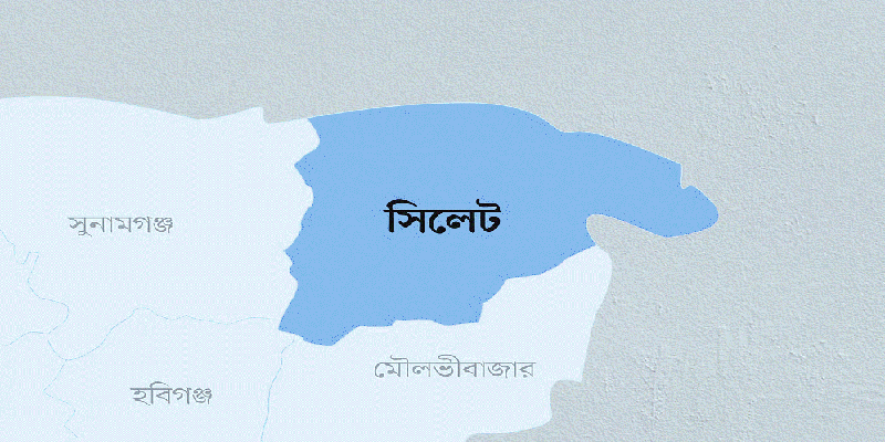 প্রধান উপদেষ্টা পদত্যাগ করবেন না: ফাইজ তাইয়েব আহমেদ