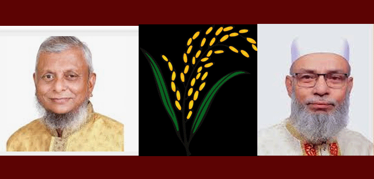 প্রধান উপদেষ্টা পদত্যাগ করবেন না: ফাইজ তাইয়েব আহমেদ