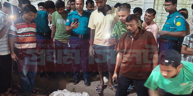 প্রধান উপদেষ্টা পদত্যাগ করবেন না: ফাইজ তাইয়েব আহমেদ