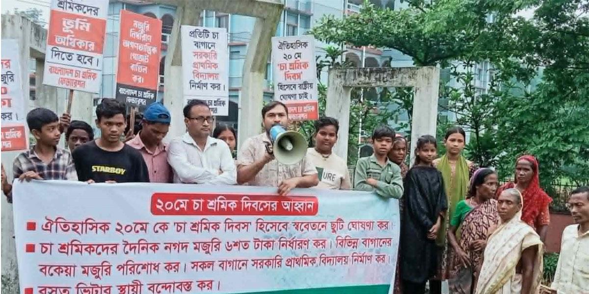 প্রধান উপদেষ্টা পদত্যাগ করবেন না: ফাইজ তাইয়েব আহমেদ