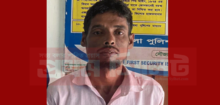 প্রধান উপদেষ্টা পদত্যাগ করবেন না: ফাইজ তাইয়েব আহমেদ