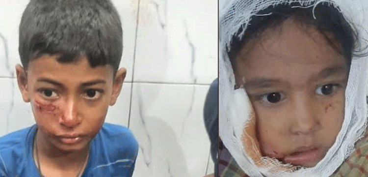 প্রধান উপদেষ্টা পদত্যাগ করবেন না: ফাইজ তাইয়েব আহমেদ