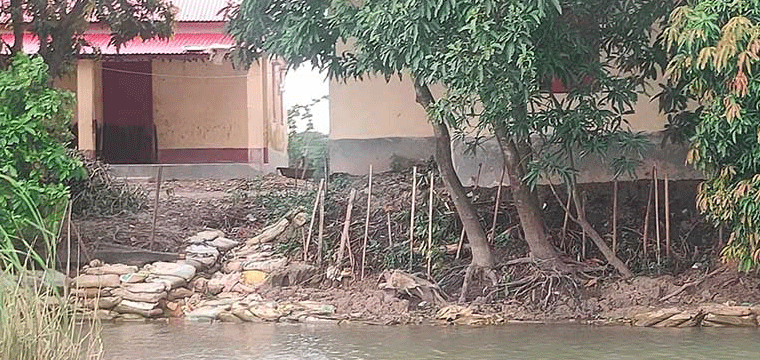 প্রধান উপদেষ্টা পদত্যাগ করবেন না: ফাইজ তাইয়েব আহমেদ