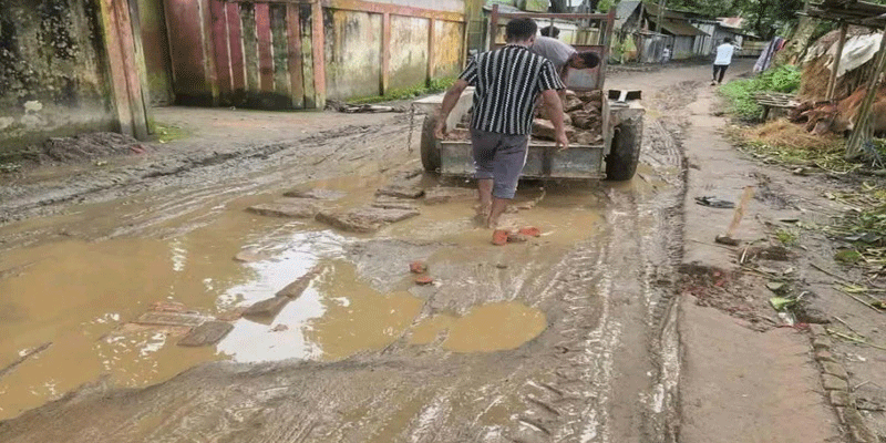 প্রধান উপদেষ্টা পদত্যাগ করবেন না: ফাইজ তাইয়েব আহমেদ