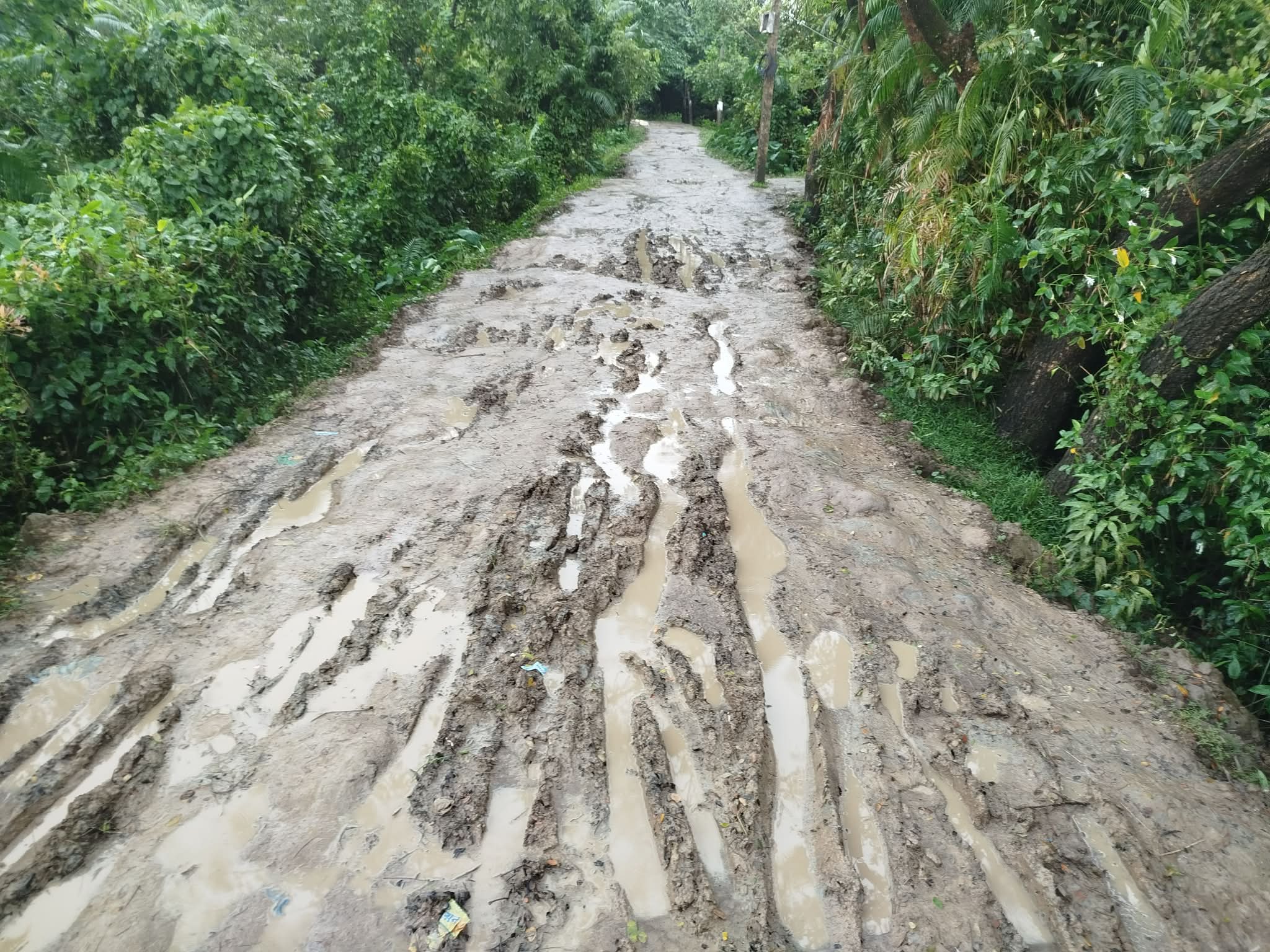 প্রধান উপদেষ্টা পদত্যাগ করবেন না: ফাইজ তাইয়েব আহমেদ