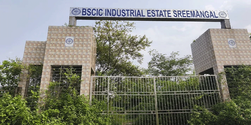 প্রধান উপদেষ্টা পদত্যাগ করবেন না: ফাইজ তাইয়েব আহমেদ
