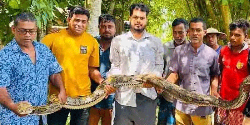প্রধান উপদেষ্টা পদত্যাগ করবেন না: ফাইজ তাইয়েব আহমেদ