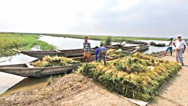 প্রধান উপদেষ্টা পদত্যাগ করবেন না: ফাইজ তাইয়েব আহমেদ