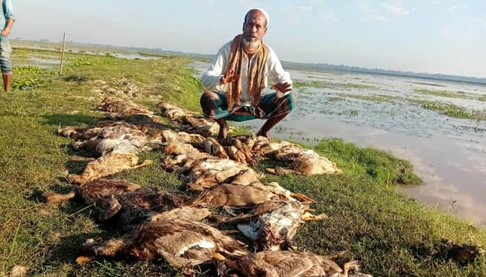 প্রধান উপদেষ্টা পদত্যাগ করবেন না: ফাইজ তাইয়েব আহমেদ