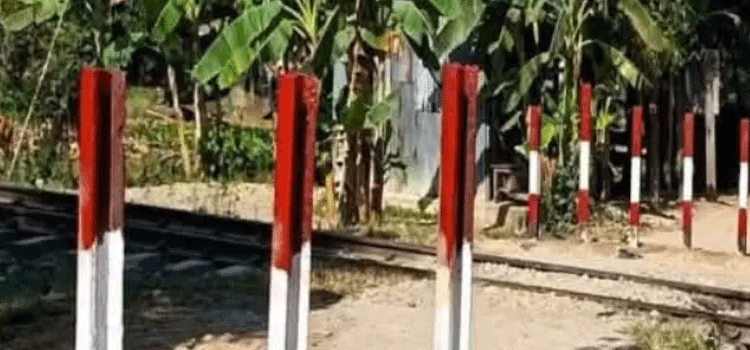 প্রধান উপদেষ্টা পদত্যাগ করবেন না: ফাইজ তাইয়েব আহমেদ