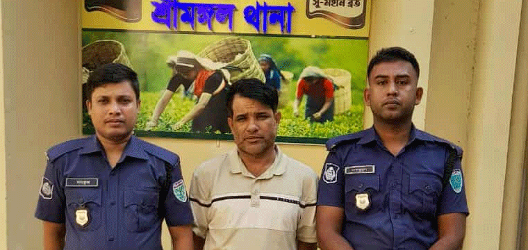 প্রধান উপদেষ্টা পদত্যাগ করবেন না: ফাইজ তাইয়েব আহমেদ
