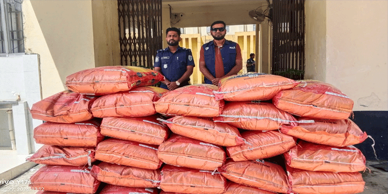 প্রধান উপদেষ্টা পদত্যাগ করবেন না: ফাইজ তাইয়েব আহমেদ