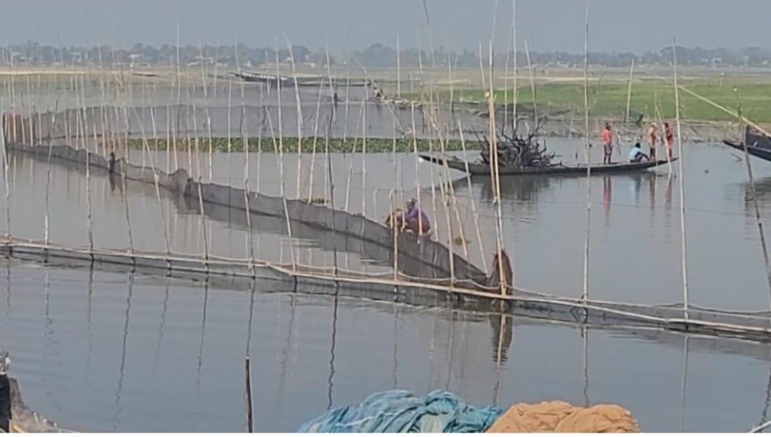 প্রধান উপদেষ্টা পদত্যাগ করবেন না: ফাইজ তাইয়েব আহমেদ