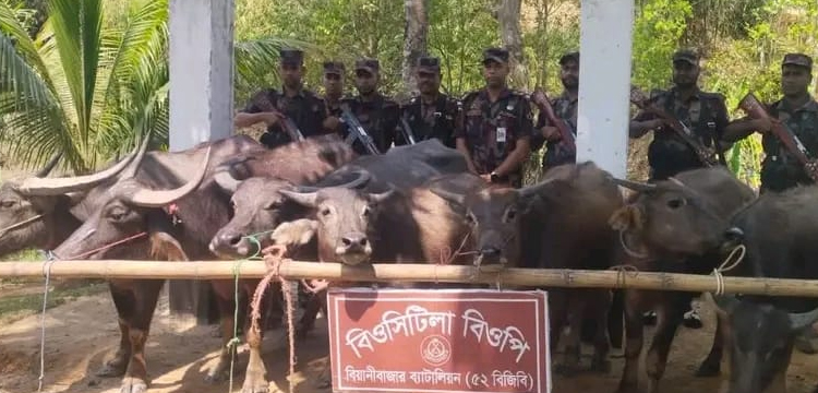 প্রধান উপদেষ্টা পদত্যাগ করবেন না: ফাইজ তাইয়েব আহমেদ