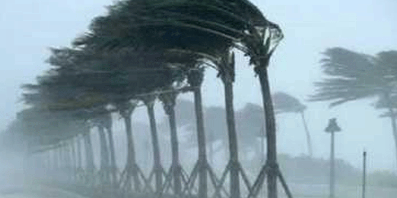 প্রধান উপদেষ্টা পদত্যাগ করবেন না: ফাইজ তাইয়েব আহমেদ
