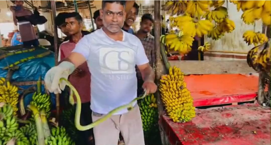 প্রধান উপদেষ্টা পদত্যাগ করবেন না: ফাইজ তাইয়েব আহমেদ