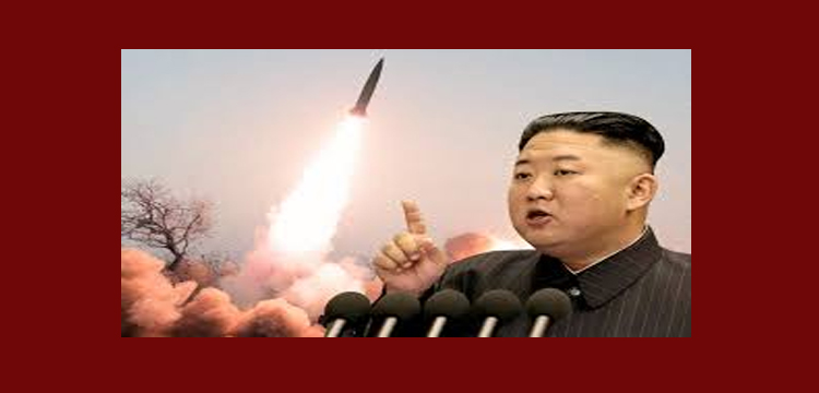 প্রধান উপদেষ্টা পদত্যাগ করবেন না: ফাইজ তাইয়েব আহমেদ