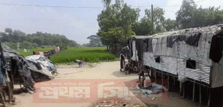 প্রধান উপদেষ্টা পদত্যাগ করবেন না: ফাইজ তাইয়েব আহমেদ
