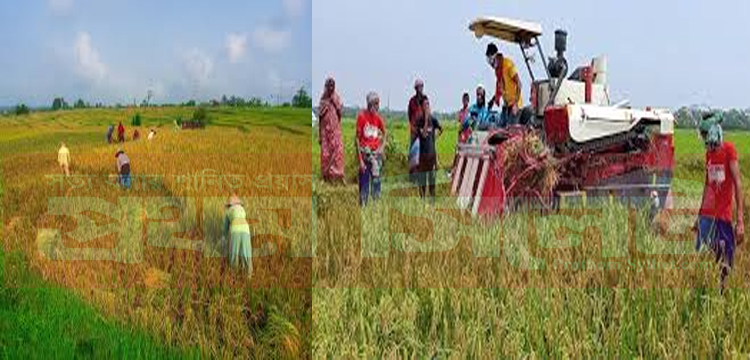 প্রধান উপদেষ্টা পদত্যাগ করবেন না: ফাইজ তাইয়েব আহমেদ