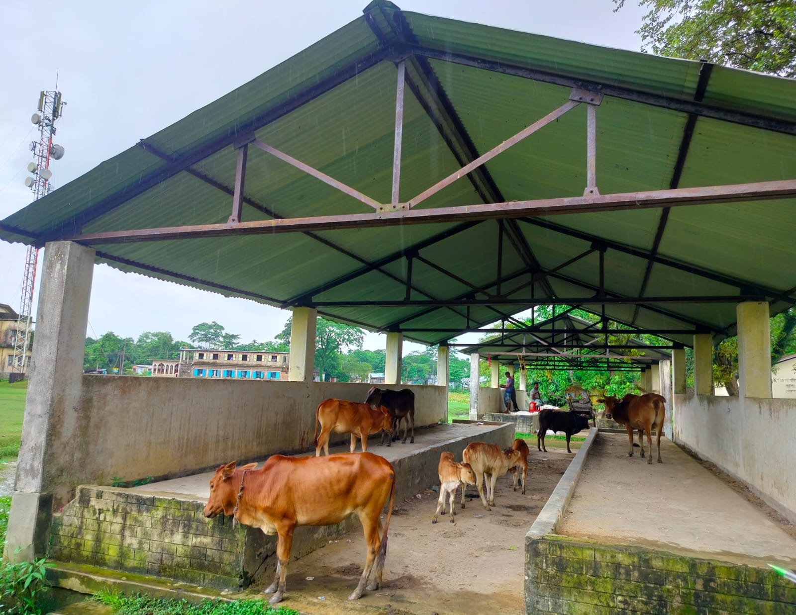 প্রধান উপদেষ্টা পদত্যাগ করবেন না: ফাইজ তাইয়েব আহমেদ