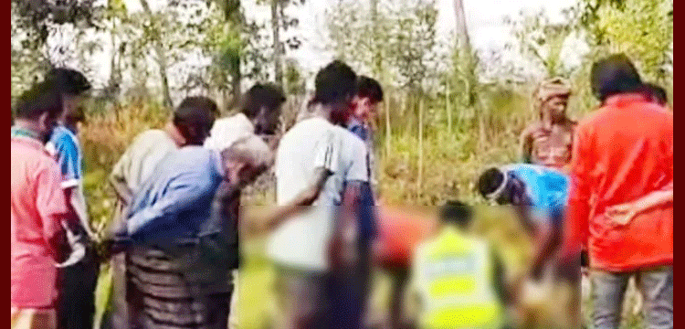 প্রধান উপদেষ্টা পদত্যাগ করবেন না: ফাইজ তাইয়েব আহমেদ
