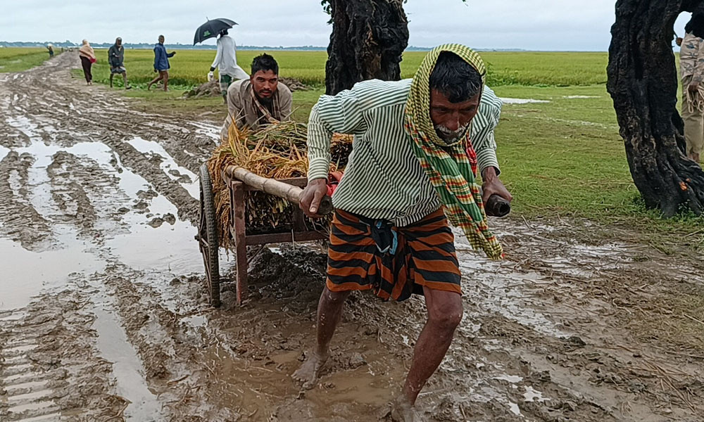 প্রধান উপদেষ্টা পদত্যাগ করবেন না: ফাইজ তাইয়েব আহমেদ