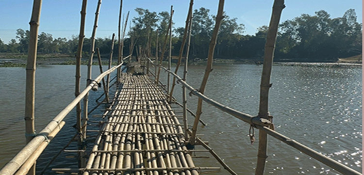প্রধান উপদেষ্টা পদত্যাগ করবেন না: ফাইজ তাইয়েব আহমেদ
