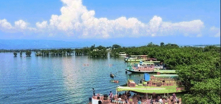 প্রধান উপদেষ্টা পদত্যাগ করবেন না: ফাইজ তাইয়েব আহমেদ