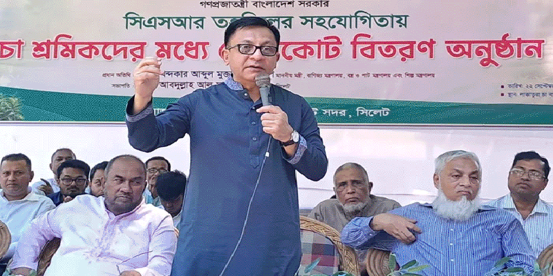 প্রধান উপদেষ্টা পদত্যাগ করবেন না: ফাইজ তাইয়েব আহমেদ
