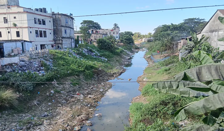 প্রধান উপদেষ্টা পদত্যাগ করবেন না: ফাইজ তাইয়েব আহমেদ