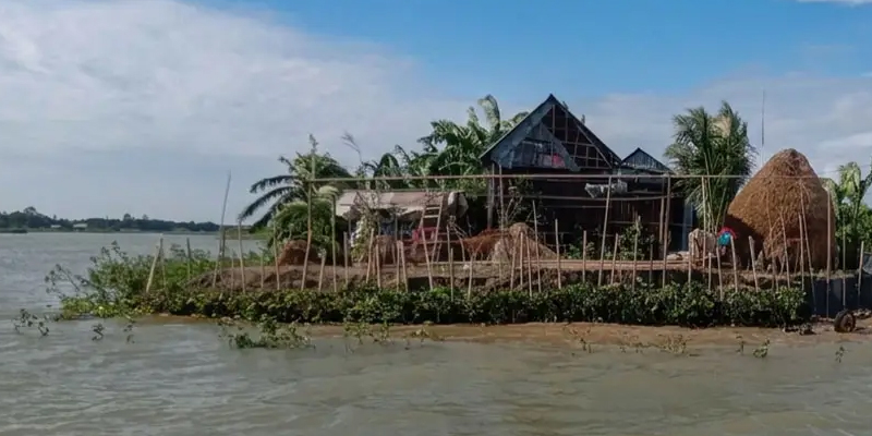 প্রধান উপদেষ্টা পদত্যাগ করবেন না: ফাইজ তাইয়েব আহমেদ
