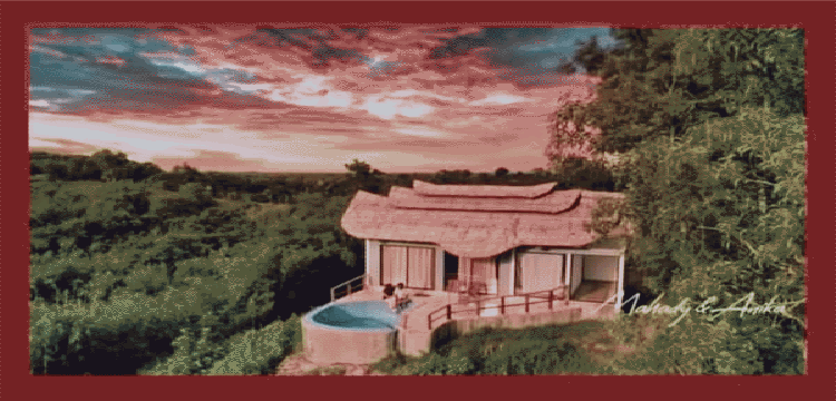 প্রধান উপদেষ্টা পদত্যাগ করবেন না: ফাইজ তাইয়েব আহমেদ