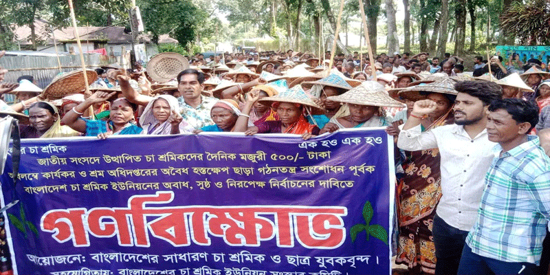 প্রধান উপদেষ্টা পদত্যাগ করবেন না: ফাইজ তাইয়েব আহমেদ