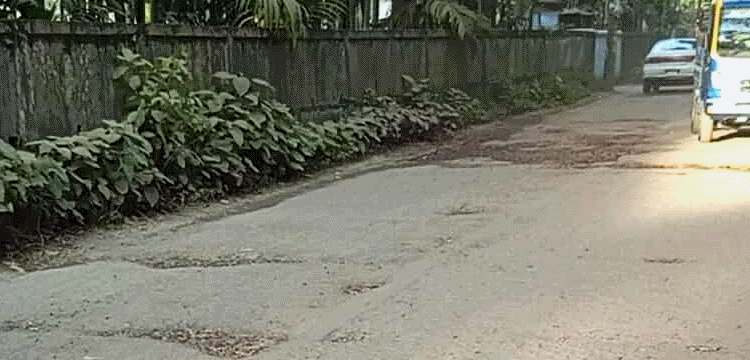 প্রধান উপদেষ্টা পদত্যাগ করবেন না: ফাইজ তাইয়েব আহমেদ