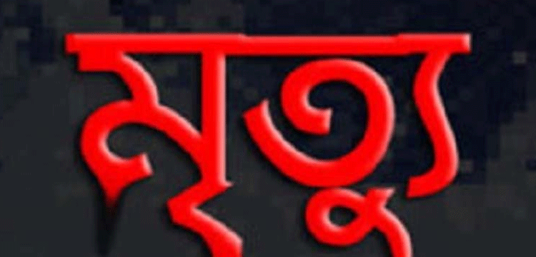 প্রধান উপদেষ্টা পদত্যাগ করবেন না: ফাইজ তাইয়েব আহমেদ