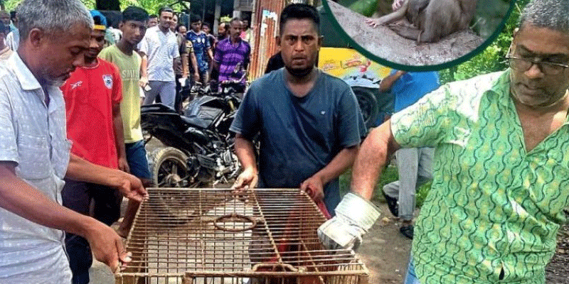 প্রধান উপদেষ্টা পদত্যাগ করবেন না: ফাইজ তাইয়েব আহমেদ