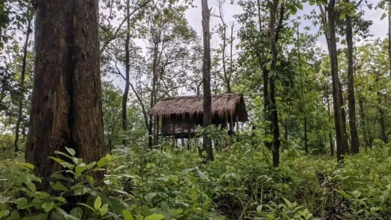 প্রধান উপদেষ্টা পদত্যাগ করবেন না: ফাইজ তাইয়েব আহমেদ