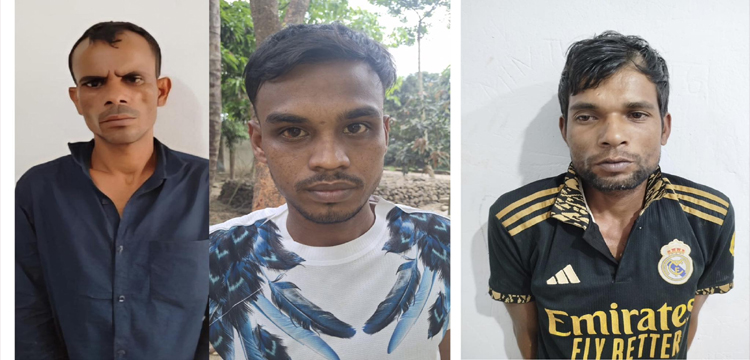 প্রধান উপদেষ্টা পদত্যাগ করবেন না: ফাইজ তাইয়েব আহমেদ