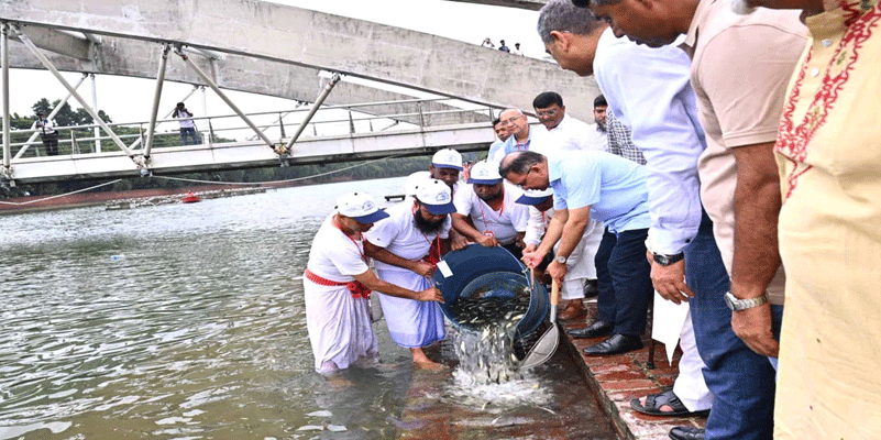 প্রধান উপদেষ্টা পদত্যাগ করবেন না: ফাইজ তাইয়েব আহমেদ