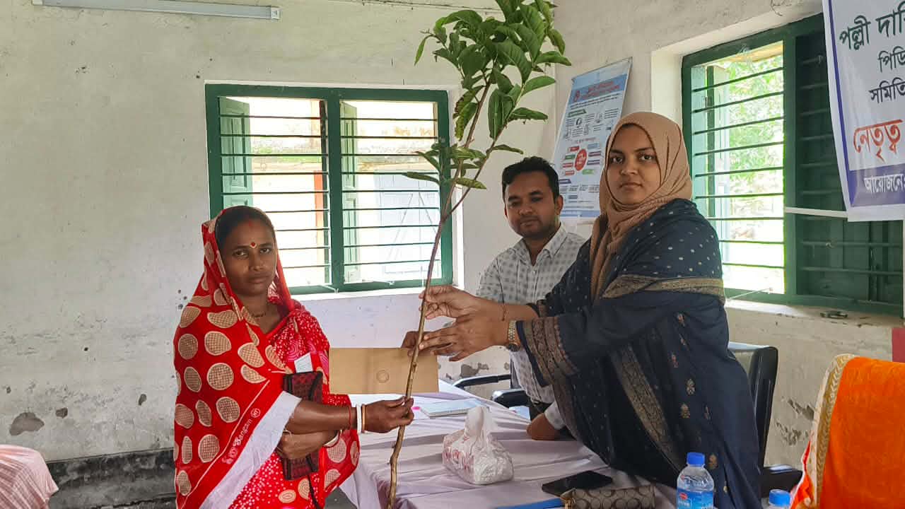 প্রধান উপদেষ্টা পদত্যাগ করবেন না: ফাইজ তাইয়েব আহমেদ